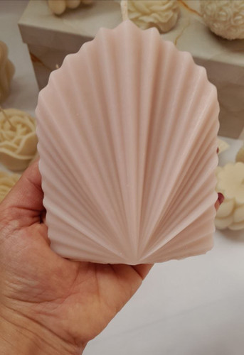 بادبزنی بزرگ