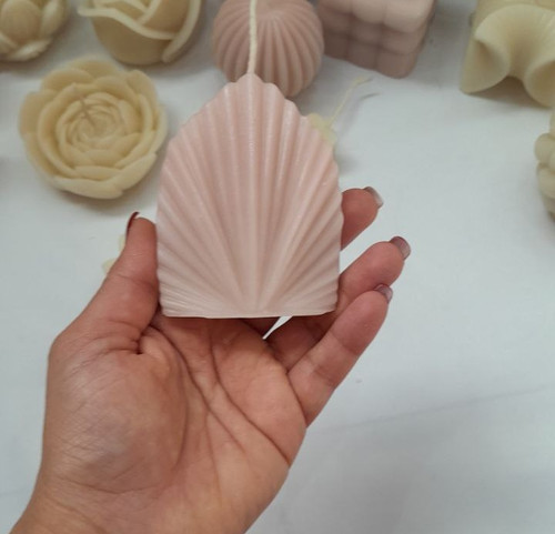 بادبزنی کوچک